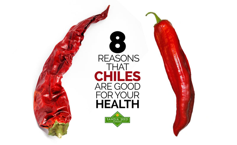 8 Reasons That Chiles Are Good For Your Health