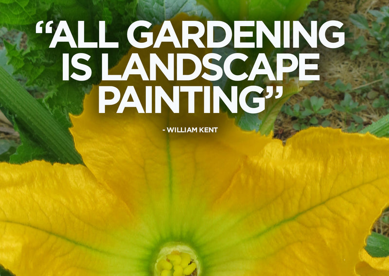 A vibrant yellow squash blossom with green leaves and soil background, illustrating June gardening and summer vegetable growth.