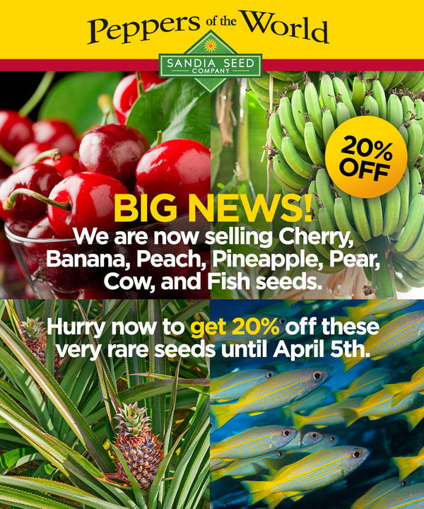 April Fool's Day Seeds Sale