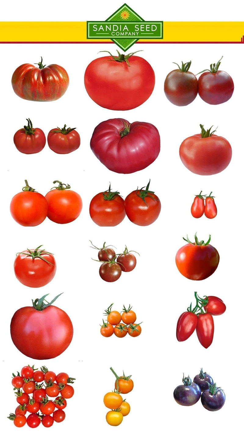 Best Tomatoes for Salsa - Grow from seeds!