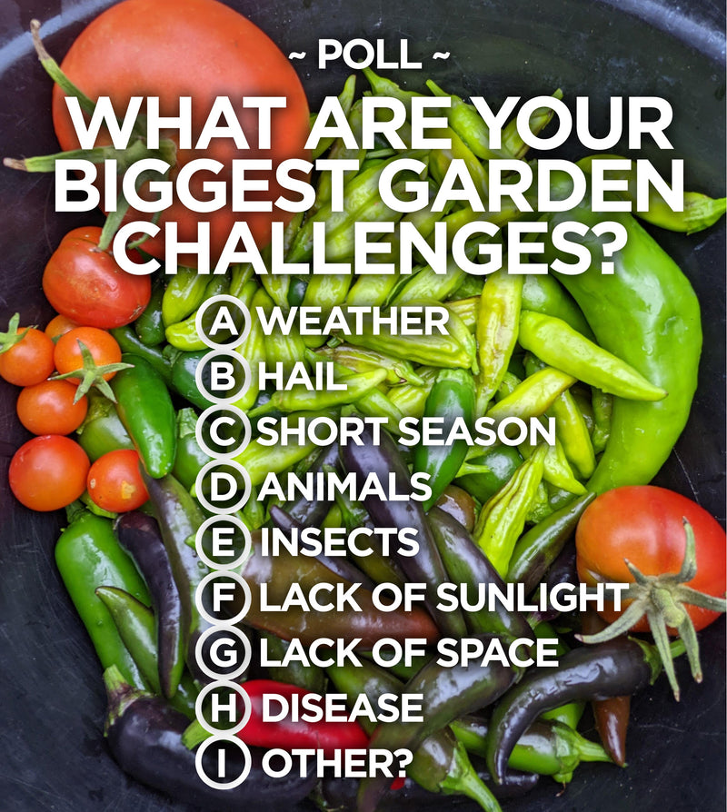 What are your biggest garden challenges? A diagram of various gardening challenges, including weather, pests, disease, lack of sunlight, and space limitations, over a background of fresh vegetables.