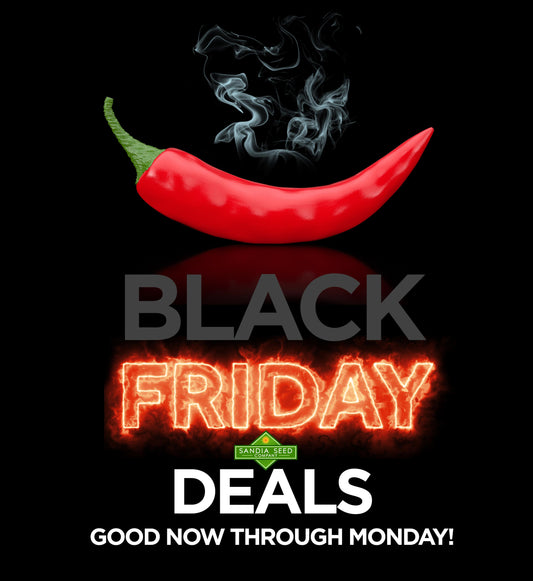 Black Friday Seed Deals!