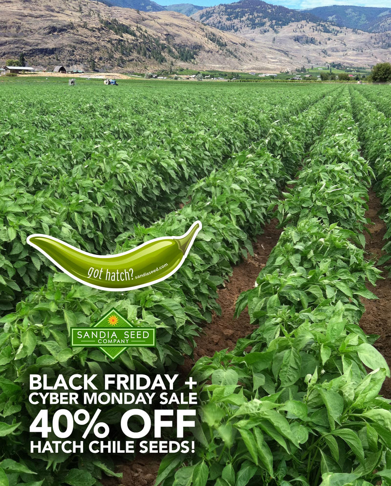 Black Friday + Cyber Monday Sale: Get a great deal on our Hatch Chile seeds! Our Hatch Chile Seed Sale goes from Thanksgiving through Monday, December 2nd, 2019.