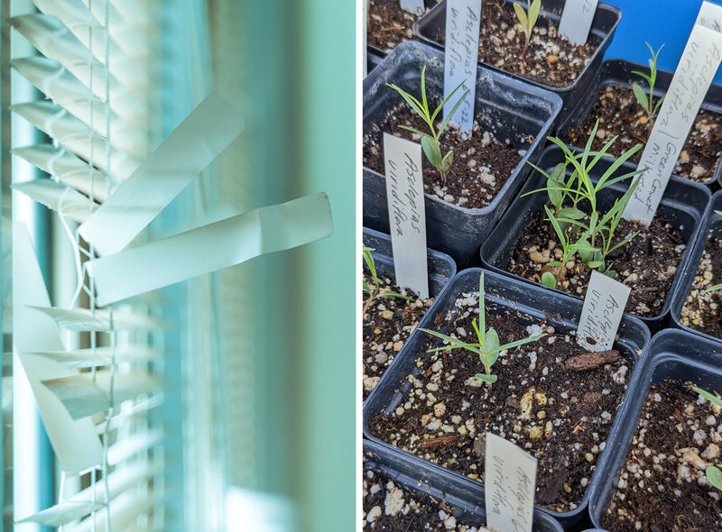 Plant Labels for Garden - Make Free Durable Plant Labels from Blinds!