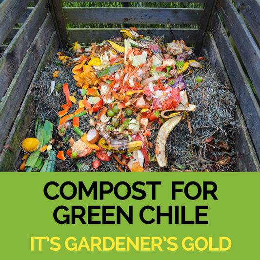 Composting for HUGE Green Chiles