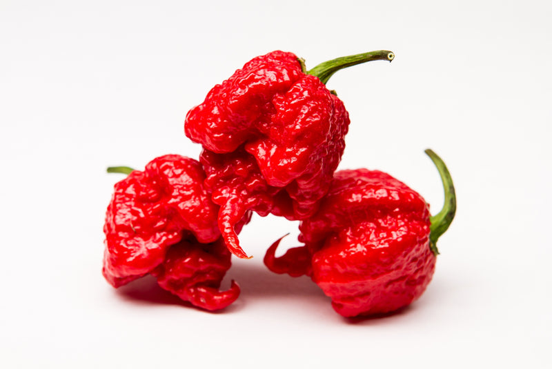 What is the hottest pepper you can grow? The Carolina Reaper is the hottest pepper you can get seeds for to grow yourself.