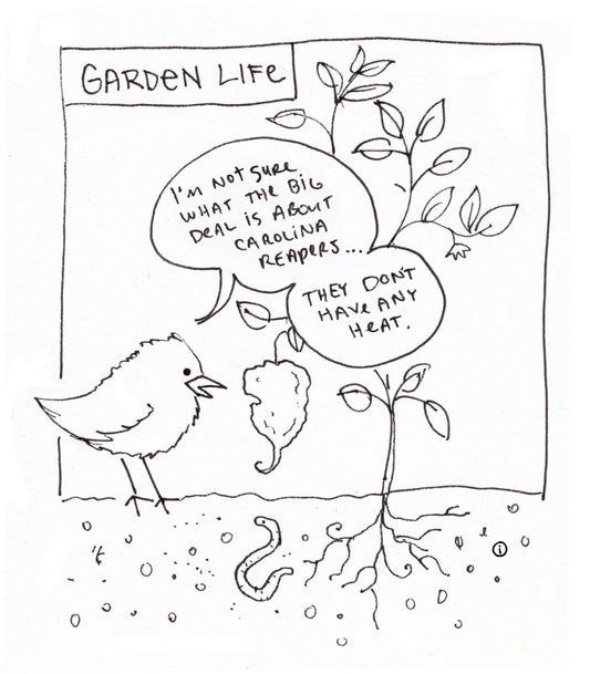 Hot Pepper Comic