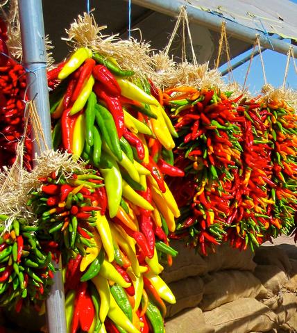 Do Green Chillies turn Red? These ristras have chiles at various stages of ripeness and variety

