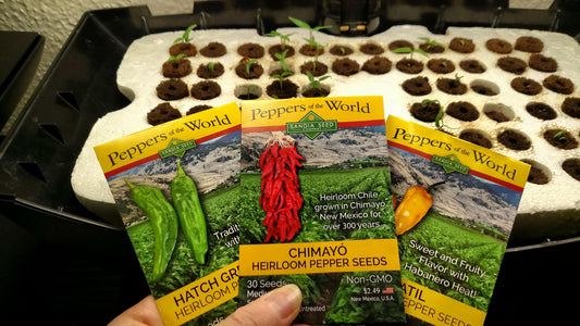 Pepper Seeds