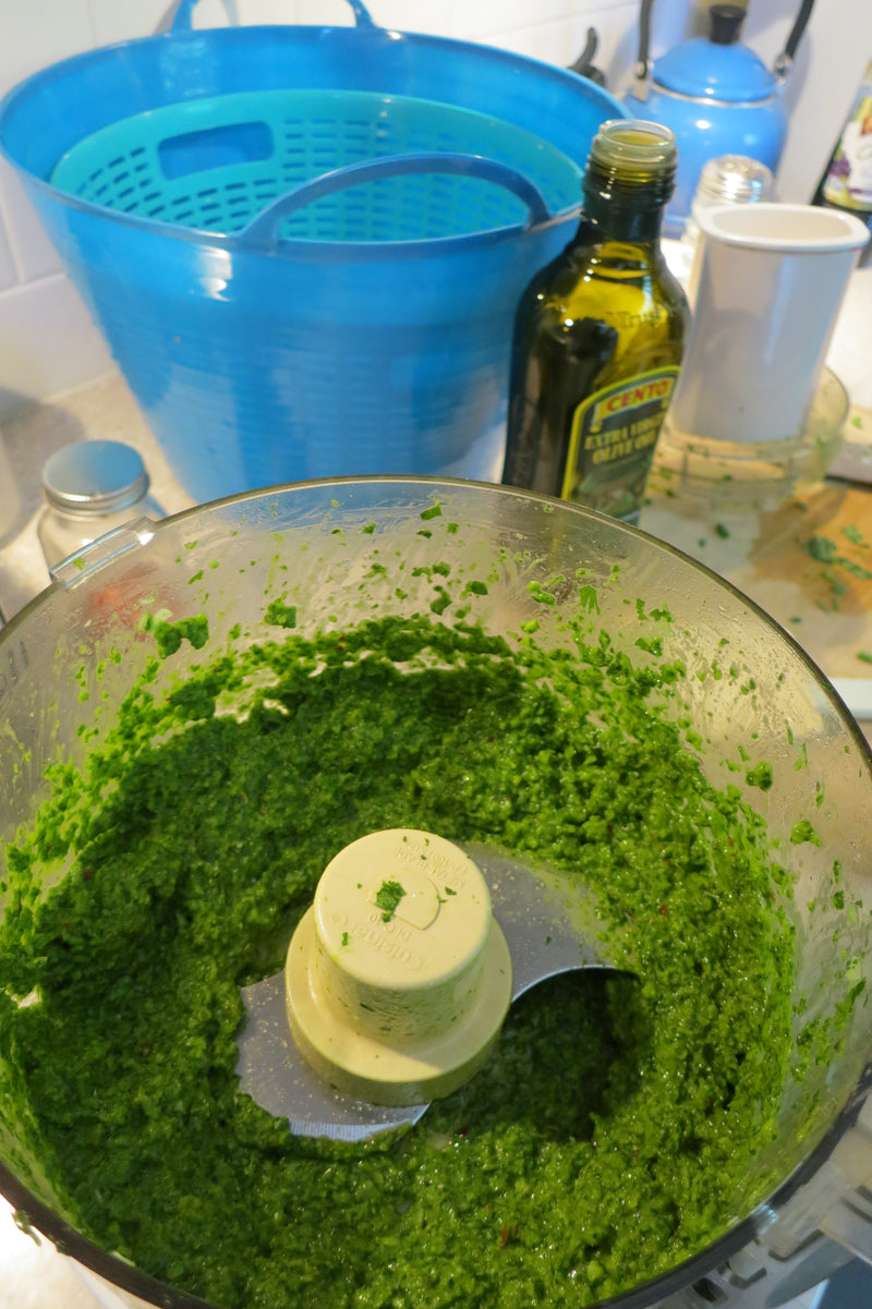 Hatch Chile & Basil Pesto Recipe
