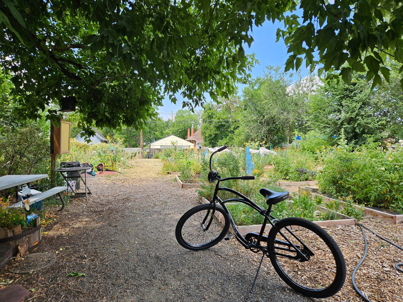 Join a Community Garden!