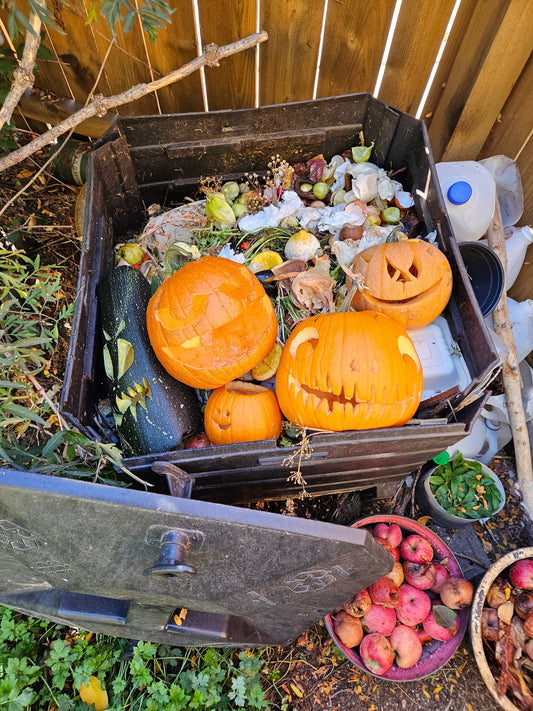 Composting for HUGE Green Chiles