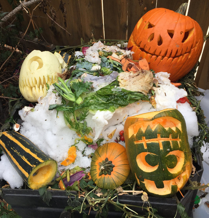 Colorful carved pumpkins and leftover vegetable scraps in a garden compost bin, perfect for October gardening tips and fall decoration cleanup.