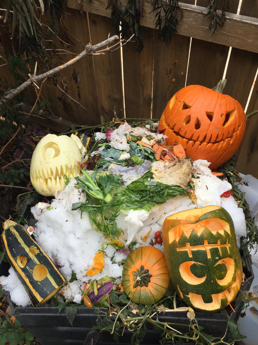 Compost Pumpkins!