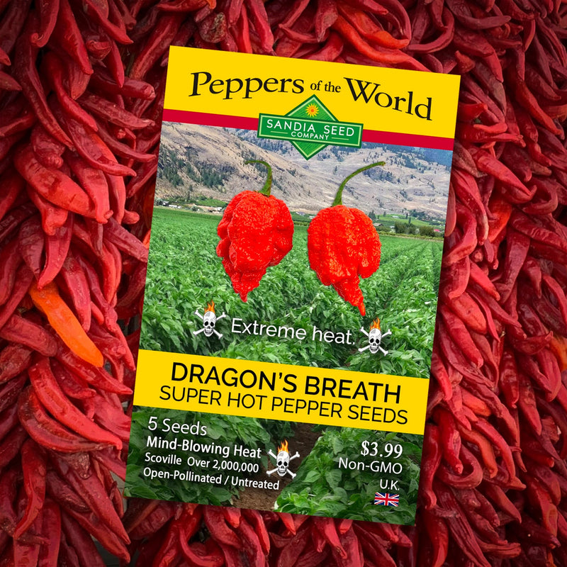 Dragons Breath Plants: Dragon's Breath Seed Packet from Sandia Seed

