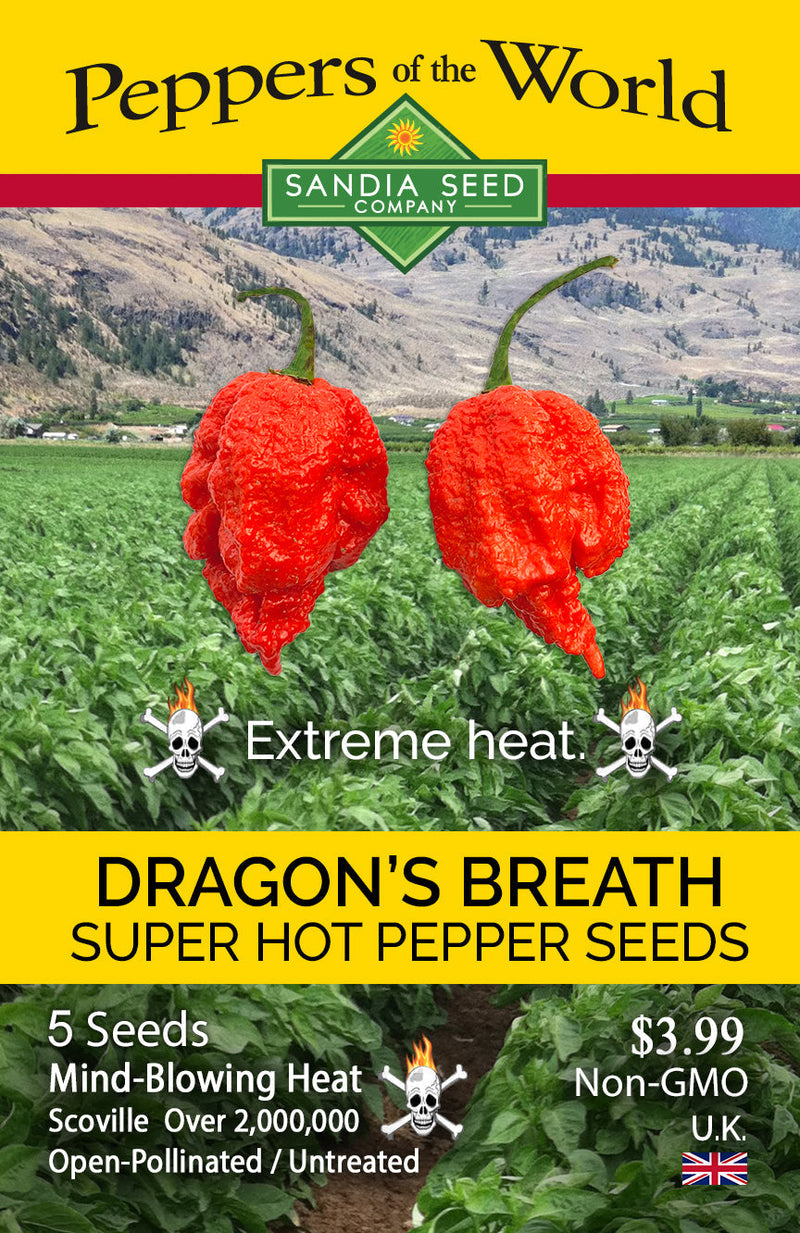 Dragon Peppers Seed Packet from Sandia Seed