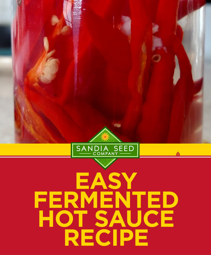 Easy Fermented Hot Sauce Recipe
