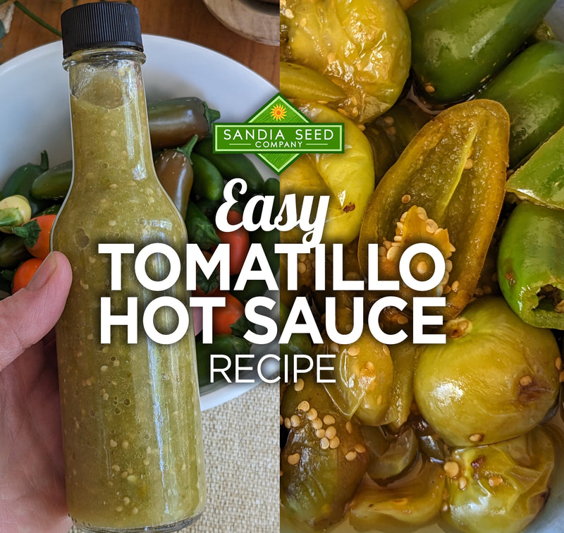 A glass bottle of homemade tomatillo hot sauce with fresh green and yellow roasted peppers, seeds, and vibrant ingredients, perfect for flavorful Mexican cuisine.