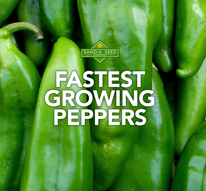 Fastest Growing Peppers