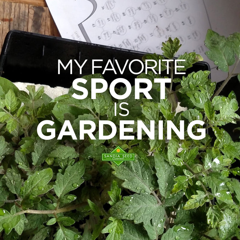 A close-up of lush green garden herbs with water droplets, featuring a seed packet labeledSandia Seed Company" and a gardening chart in the background.