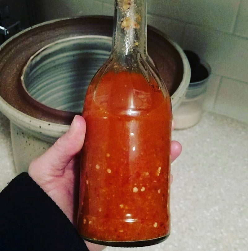 Fermented Hot Sauce: Fermentation Crocks are great for making hot sauce!

