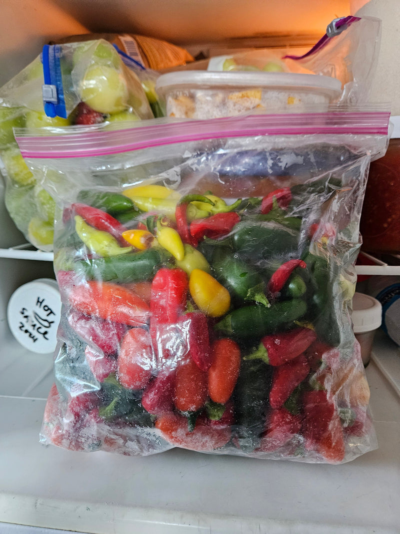 A resealable plastic bag filled with colorful fresh peppers, ready for freezing, on a white surface in a kitchen setting.