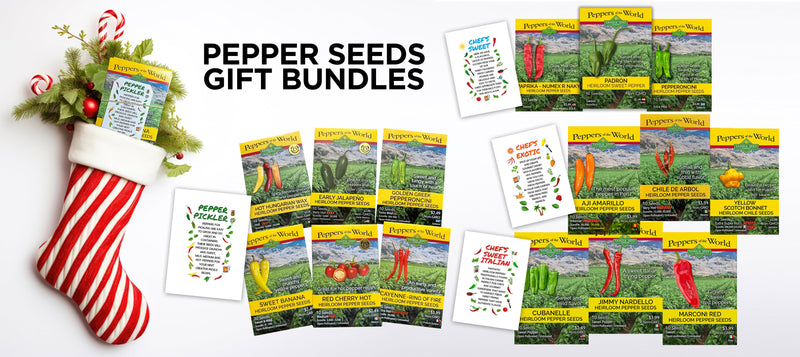 A festive Christmas stocking filled with garden pepper seed packets, surrounded by colorful pepper seed packaging for gardeners' gift ideas.