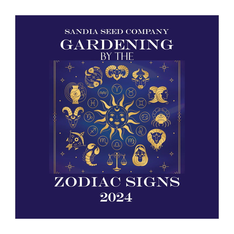 A detailed zodiac signs chart with gold illustrations of zodiac symbols, sun, moon, and celestial motifs on a dark blue background, representing astrology and zodiac signs for 2024.
