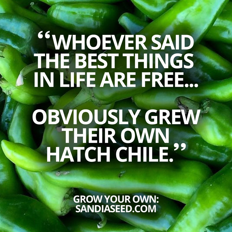 Grow your own Hatch Chile Graphic:  “Whoever said the best things in life are free...
obviously grew their own Hatch Chile.”
 