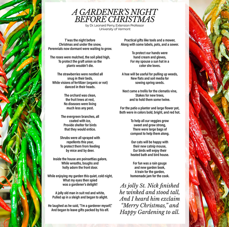 A GARDENER’S NIGHT BEFORE CHRISTMAS