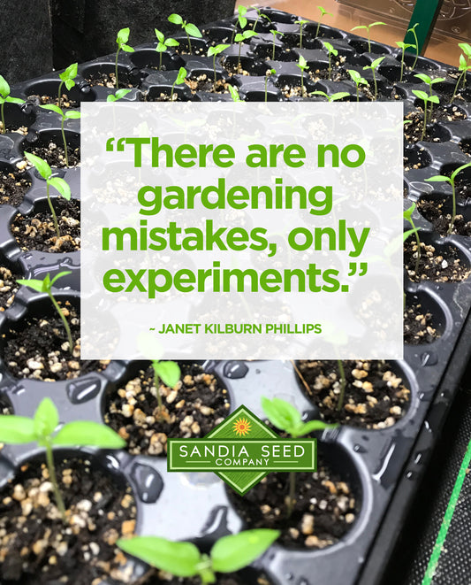 “There are no gardening mistakes, only experiments.”