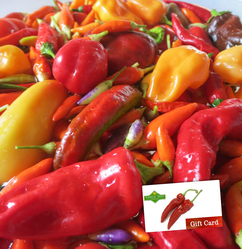Gifts for Pepper Lovers - Sandia Seed Gift Card for Seeds!

