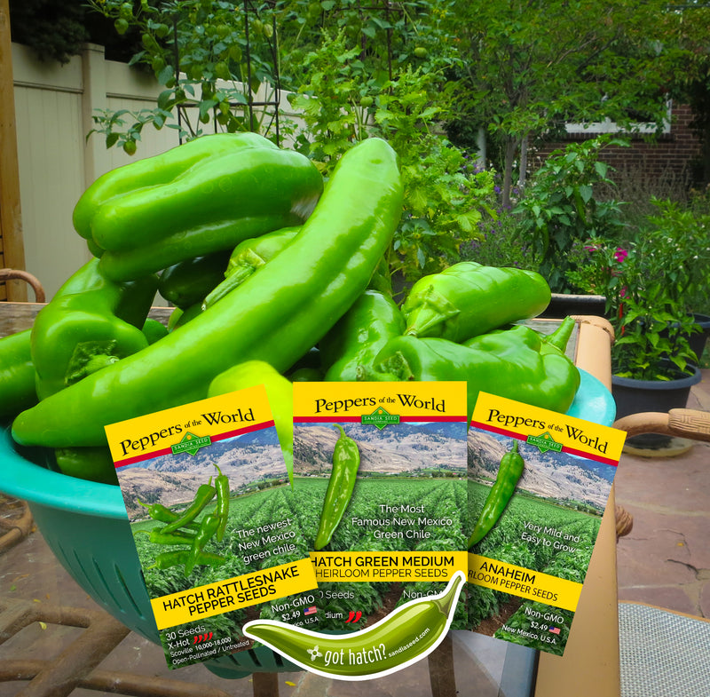 Hatch Green Chile Seeds