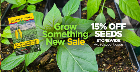 Seed Discounts: 15% Off All Seeds with Code