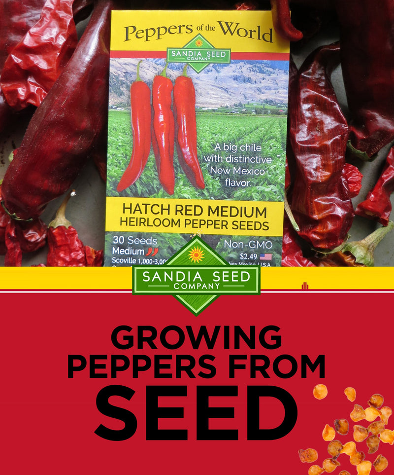 Growing Peppers from Seed
