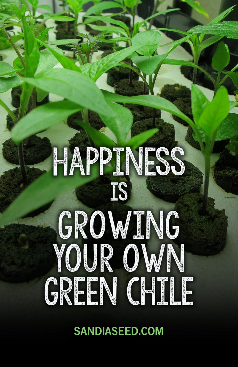 Hatch Chile Seeds: Happiness is growing your own green chile