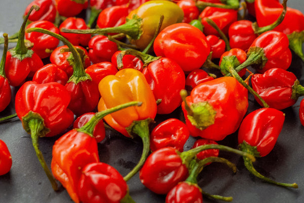 Caribbean Red Habanero Pineapple Hot Sauce - Habaneros for hot sauce