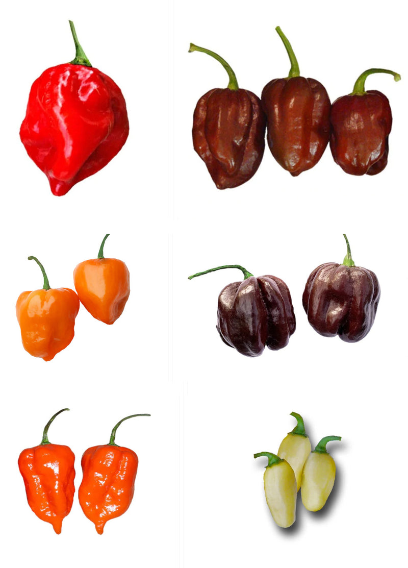 Best Habanero Seeds