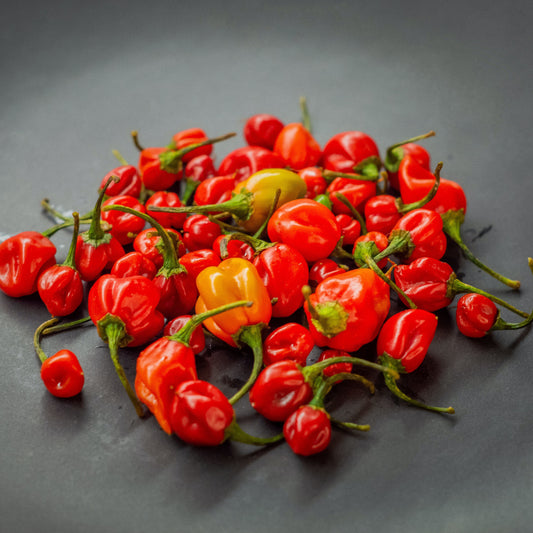 Red Habaneros for Caribbean Red Habanero Pineapple Hot Sauce Recipe
