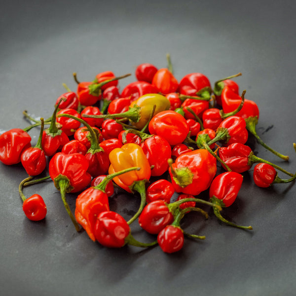 Red Habaneros for Caribbean Red Habanero Pineapple Hot Sauce Recipe