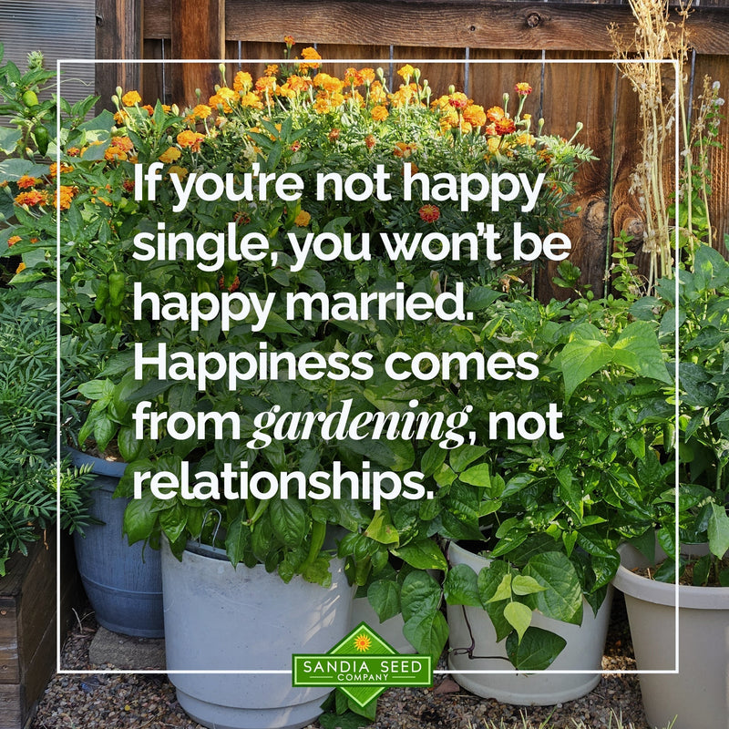 Garden Memes