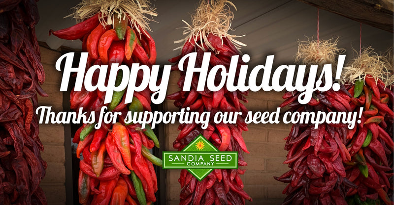 A festive display of colorful chili peppers hanging in bundles, with a holiday greeting overlay reading Happy Holidays! Thanks for supporting our seed company! from Sandia Seed Company.
