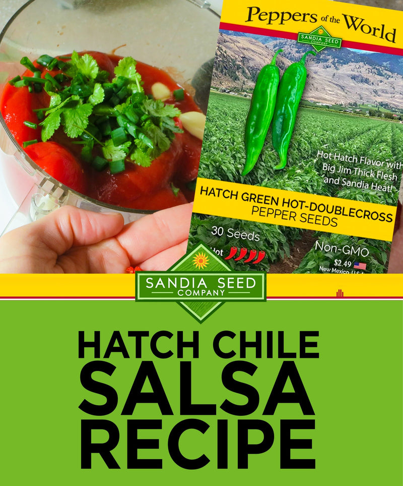 Salsa Recipes: Hatch Chile Salsa Recipe with seed packet and food processor shown

