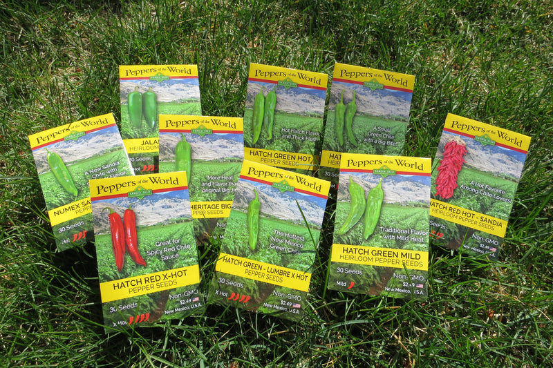 Mild Hatch Chile Seeds: Seed Packets in grass


