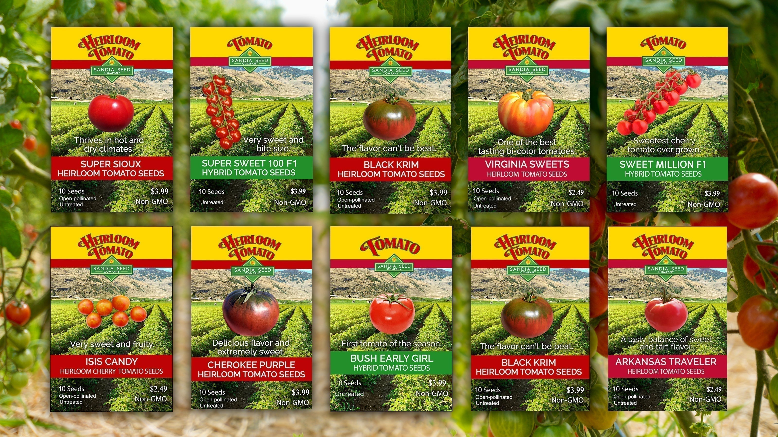 10 Heat-Tolerant Tomato Varieties offered by Sandia Seed Company
