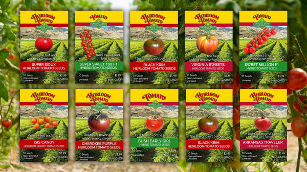 10 Heat-Tolerant Tomato Varieties