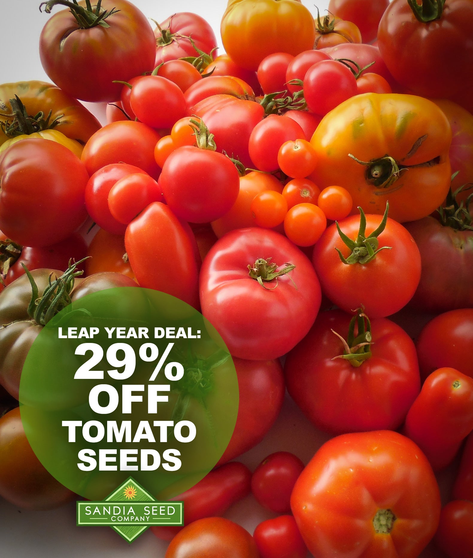 Best Heirloom Tomato Seeds on Sale!  Sandia Seed Company