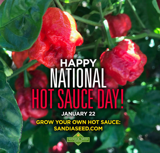 National Hot Sauce Day