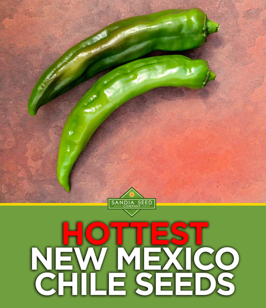 Hottest New Mexico Chile Seeds