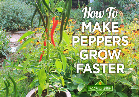 How to Make Peppers Grow Faster